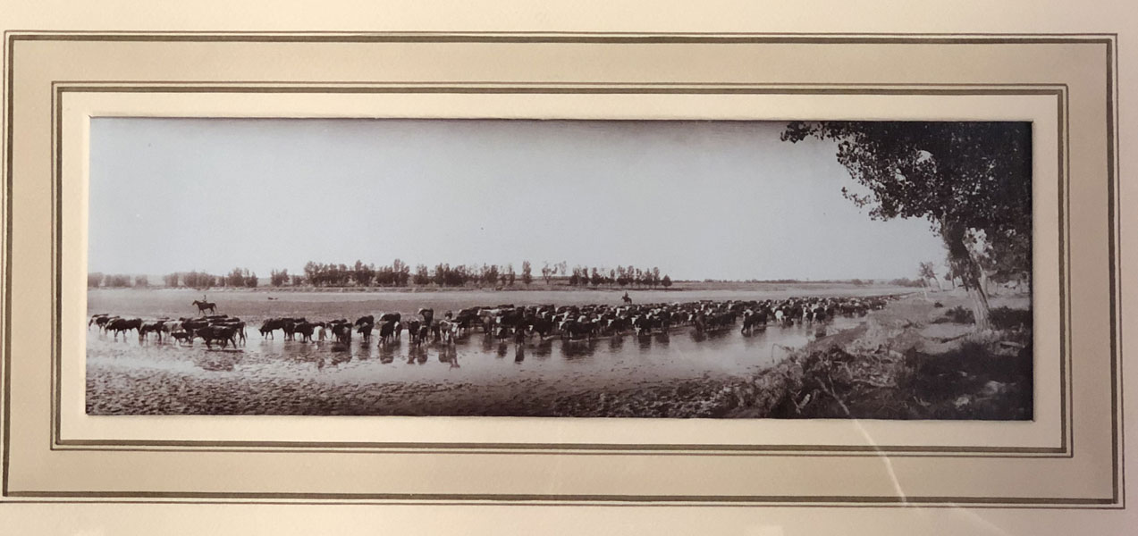 Throwing The Herd On Water. Matted & Framed Original Photograph. L.A. HUFFMAN