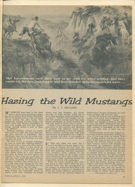 Hazing The Wild Mustangs. J.J. BALLARD