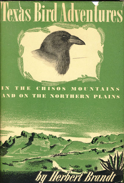 Texas Bird Adventures In The Chisos Mountains And On The Northern Plains HERBERT BRANDT