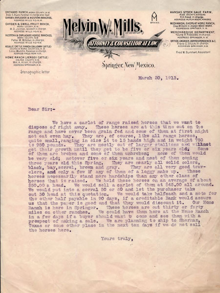 1913 Typed Letter To Sell A Carlot Of Range Raised Horses MILLS, MELVIN W. [ATTORNEY & COUNSELLOR AT LAW]