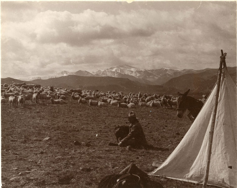 Z-T Ranch Photograph, Pitchfork, Wyoming By Charles J. Belden BELDEN, CHARLES J. [PHOTOGRAPHER]