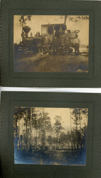 Archive Of 17 Photographs Documenting Logging By The A.C. Tuxbury Lumber Company Near Charleston During The South Carolina Lumbering Boom In The First Decade Of The 20th Century A.C. TUXBURY LUMBER COMPANY]