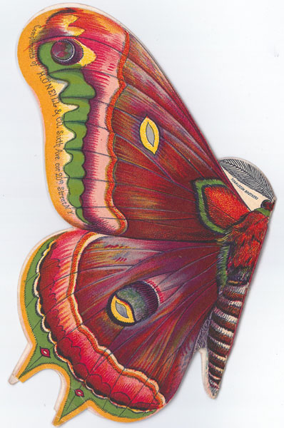 Butterfly Designed Card To Our Lady Friends And Patrons. This "Butterfly" Is Especially Designed To Show Some Of Our Numerous Styles In Trimmed Hats & Untrimmed Bonnets And Hats Of Which We Have The Largest And Best Assortment In The City At The Lowest Possible Prices Hugh O'Neill & Co., New York City, New York