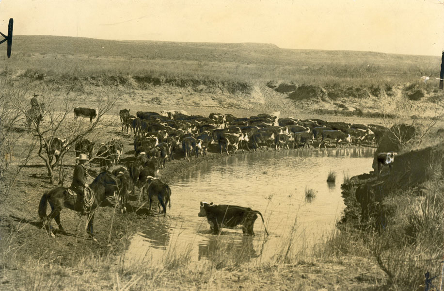 Photograph: Old Water Hole, Spur Ranch, West Texas UNKNOWN PHOTOGRAPHER