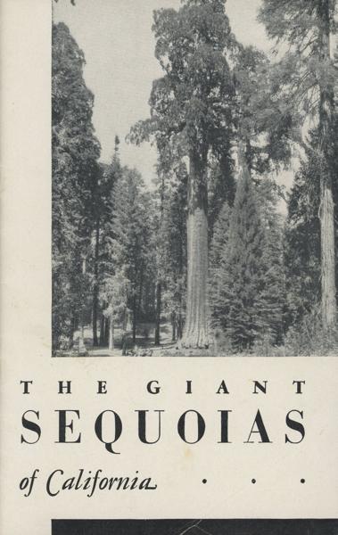 The Giant Sequoias Of California. LAWRENCE F. COOK