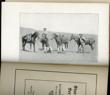 Stories And Sermons. BUCKSKIN BRADY - Image 2
