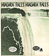 Niagara Falls New York Central Lines