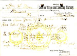 Jenkins Grape And Seedling Nursery, Hand-Written Letter Dated March 28th, 1876, On Company Stationery JENKINS GRAPE AND SEEDLING NURSERY, WINONA, OHIO