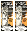 Tropical Florida In The Heart Of The South. Jacksonville, Palatka, Deland Sanford Enterprise And Intermediate Landings Clyde St Johns River Line