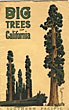 Big Trees Of California