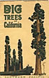 Big Trees Of California SOUTHERN PACIFIC COMPANY