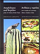 Amphibians And Reptiles Of The Us-Mexico Border States. [Anfibios Y Reptiles De Los Estados De La Frontera Mexico-Estados Unidos] LEMOS-ESPINAL, JULIO A. [EDITED BY]