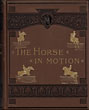 The Horse In Motion As Shown By Instantaneous Photography With A Study On Animal Mechanics Founded On Anatomy And The Revelations Of The Camera In Which Is Demonstrated The Theory Of Quadrupedal Locomotion. Executed And Published Under The Auspices Of Leland Stanford STILLMAN, A. M., M. D., J. D. B.