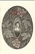 The Lady Of The Rose. The Story Of Ethel Robertson Macia. DOROTHY DEVERE