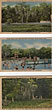 6 Postcards - Wakulla Springs, Florida Curteich Postcards, Chicago, Illinois