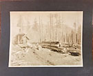 Six Original Photographs Depicting Logging In Brinnon, Washington The Izett Lumber Company - James Alexander Izett, Owner