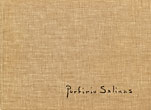 Bluebonnets And Cactus, An Album Of Southwestern Paintings By Porfirio Salinas SALINAS, PORFIRIO [ART BY]