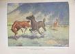 Smoky, The Cow Horse. Scribner Illustrated Classic Edition WILL JAMES - Image 5