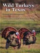 Wild Turkeys In Texas. …