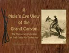 A Mule's Eye View …