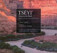 Tseyi. Deep In The Rock, Reflections Of Canyon De Chelly TOHE, LAURA [TEXT BY]