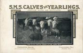 A Little Booklet Which …