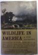 Wildlife In America