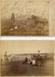 Two Photographs Documenting Cattle Branding HARTWELL & SON [PHOTOGRAPHER, LARAMIE, WYOMING]