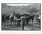 Photograph - Cowboy Wrangling Horses KING, B. A. [PHOTOGRAPHER]