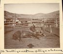 Albumen Photograph - "Snubbing A Wild Mare, Putting On A Hackamore" L. A. HUFFMAN