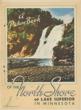 A Picture Book Of …