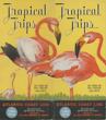 Tropical Trips: Atlantic Coast Line, Aristocrat Of Winter Trains, "The Florida Special" JAMES, GEO P. [GENERAL PASSENGER AGENT].