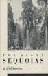 The Giant Sequoias Of California. LAWRENCE F. COOK