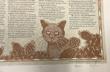 The Origin Of Jim Chee's Cat - Signed Broadside TONY HILLERMAN - Image 2