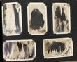 Early 1930s Photograph Album Of Visits To The West To Include Oklahoma, Texas, Arizona, New Mexico, Colorado, Mexico, Etc Barnes, Joseph Newton - Image 31