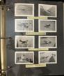 Archive And Scrapbook Of William C. Grove, Jr., In The Field Of Model Airplanes GROVE, JR., WILLIAM C. [COMPILER] - Image 5