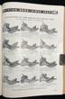 Keyston Bros, San Francisco. Riding Goods Catalog Number 85. KEYSTON BROS - Image 3