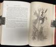 The Scout And Ranger : Being The Personal Adventures Of Corporal Pike Of The Fourth Ohio Cavalry. As A Texas Ranger, In The Indian Wars, Delineating Western Adventures; Afterward A Scout And Spy, In Tennessee, Alabama, Georgia, And The Carolinas, Under General Mitchell, Rosecrans, Stanley, Sheridan, Lytle, Thomas, Crook, And Sherman. Fully Illustrating The Secret Service JAMES PIKE - Image 2