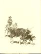 Raised On Good Pasture. HANKINS, AUDREY [POETRY BY]. - Image 4